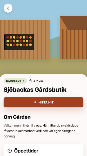 Loppisar Screenshot 2