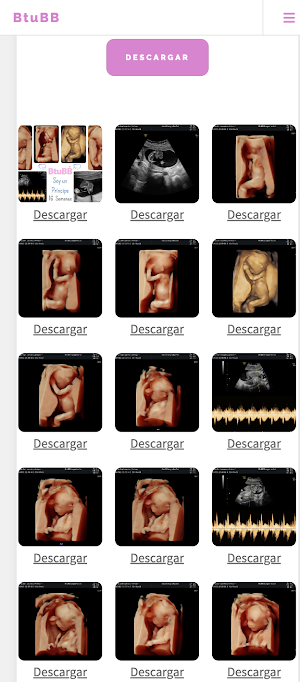 BtuBB Screenshot 1