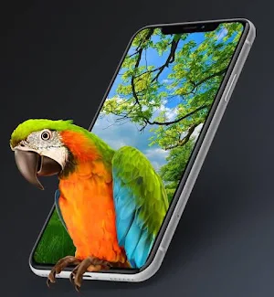 Wallpaper Bird 3D Effect Live Screenshot 1