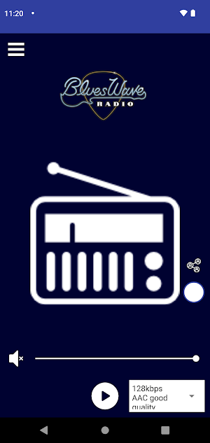 BluesWave Radio Screenshot 2