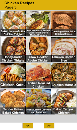 Chicken Recipes Screenshot 2