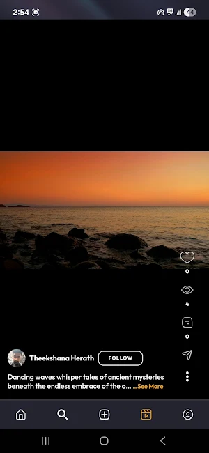 ToraFy Screenshot 2