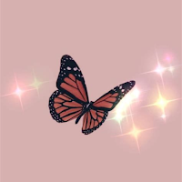 Aesthetic Wallpapers 2025