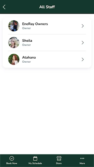 EneRay Screenshot 2