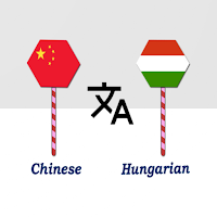 Chinese Hungarian Translator