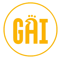 Gai Chicken & Rice