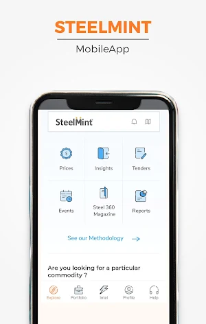 SteelMint Screenshot 0