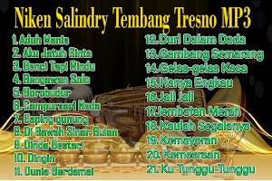 Niken Salindry Tembang MP3 Screenshot 0