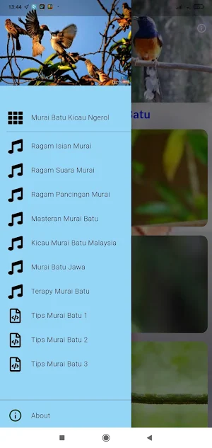 Masteran Murai Batu Gacor Screenshot 0