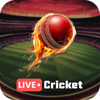 Cricket Live Score: Live Match