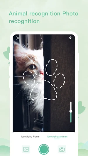 Plant Identification Screenshot 0