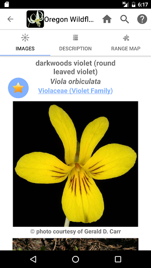 Oregon Wildflowers Screenshot 3