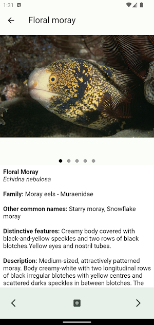 Coastal Fishes Screenshot 1