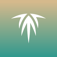 آمرني بلس