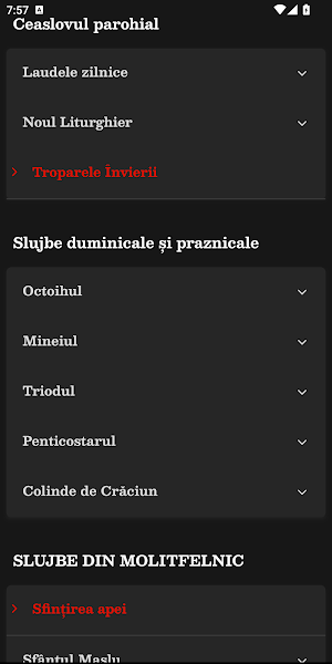 Texte Liturgice Ortodoxe Screenshot 3