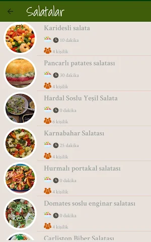 Salata Tarifleri Screenshot 2