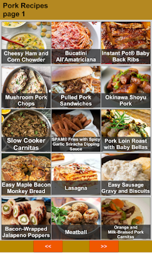 150 Best Pork Recipes Offline Screenshot 0