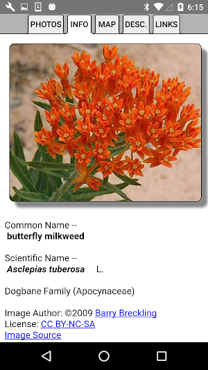 Arizona Wildflowers Screenshot 3