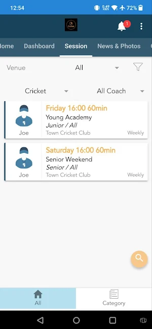 JK Cricket Screenshot 3