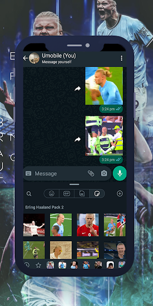 Haaland Animated WAStickers Screenshot 1