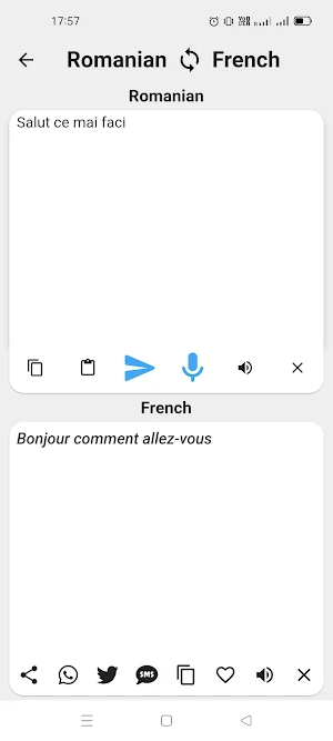 Romanian To French Translator Screenshot 1