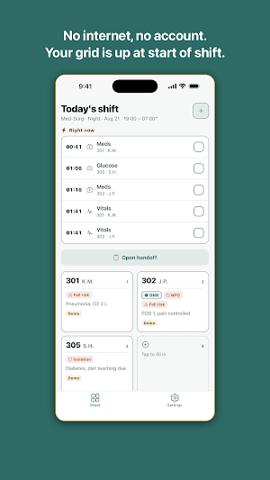 BrainSheet: Nurse Report Sheet Screenshot 1