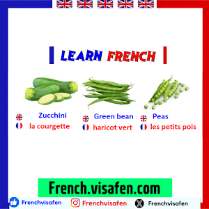 Learn French - Français Screenshot 1
