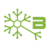 Bsoft