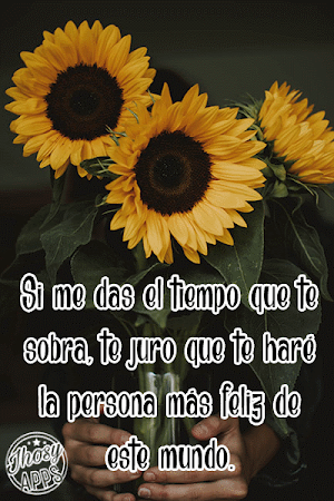 Flores y Rosas de Amor con Frases Románticas Screenshot 3