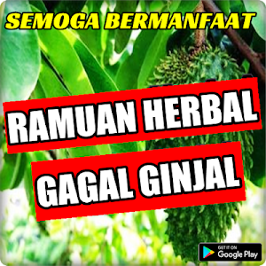 Ramuan Herbal Gagal Ginjal Ter Screenshot 2