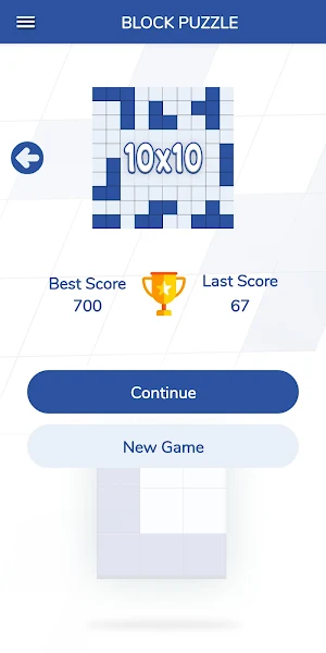Block Puzzle 10 Screenshot 1
