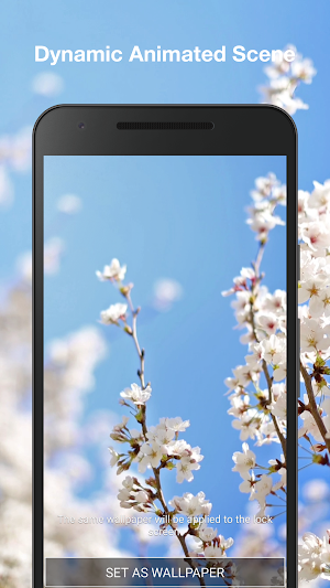 Cherry Blossom Live Wallpaper Screenshot 1
