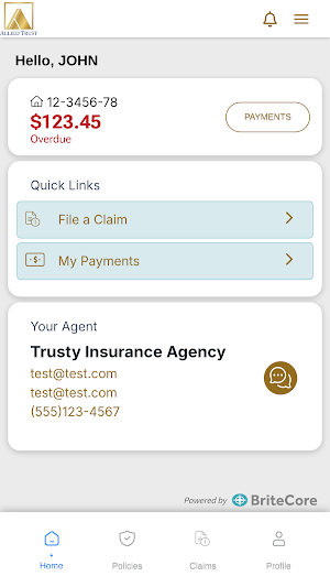 Allied Trust Screenshot 1
