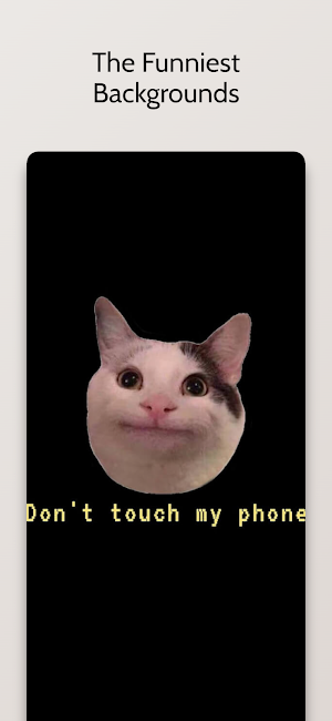 Funny Memes Wallpapers Screenshot 0