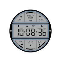 White Ink LCD For Wear OS