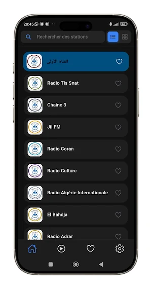 Radio Algeria Live Screenshot 2