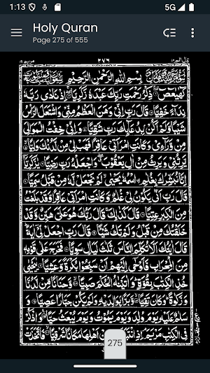 Hafizi Quran 16 Lines Mushaf Screenshot 2