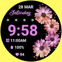 Daisy Dreams Spring