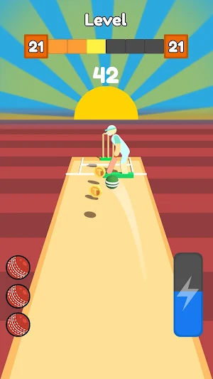 Cricket Bowling Screenshot 3