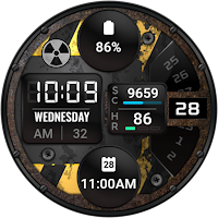 ALX25 LCD Watch Face