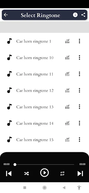 Car Horn Screenshot 2