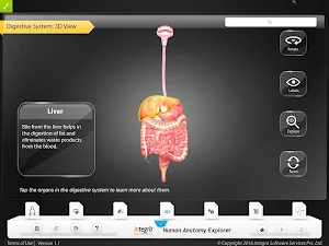 HumanAnatomy-Digestive Screenshot 2