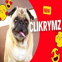 dogrymz