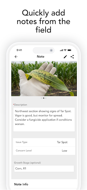 Granular Insights Screenshot 2