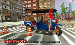 Tuk Tuk Tourist Auto Rickshaw Screenshot 2