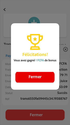 WoyofPay Screenshot 2