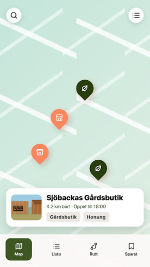 Loppisar Screenshot 1