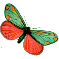 Pharmafly