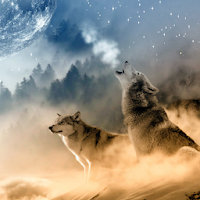 Wolf Wallpaper