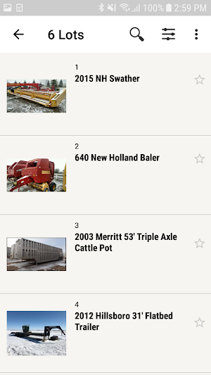 Black Hills Auction Screenshot 1